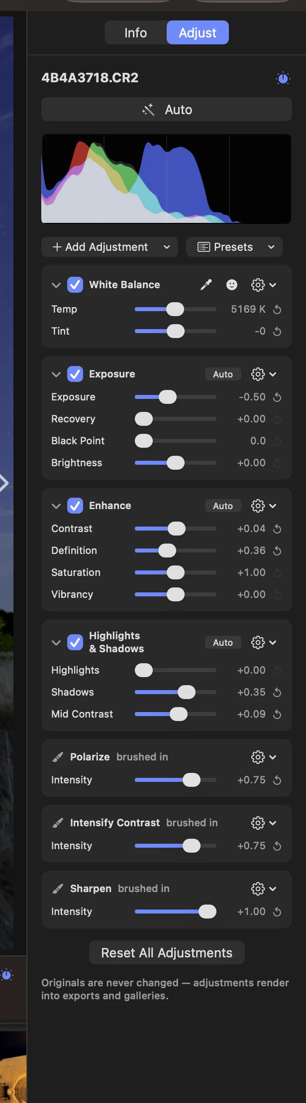 The Adjust inspector, top to bottom: an Auto button, an RGB histogram, the Add Adjustment and Presets menus, then the bricks. White Balance has eyedroppers and Temp 5169 K; Exposure, Enhance and Highlights & Shadows each have an Auto button and their sliders with values and reset arrows; Polarize, Intensify Contrast and Sharpen are marked “brushed in”. Each brick has a checkbox and a gear menu. A Reset All Adjustments button sits at the bottom.
